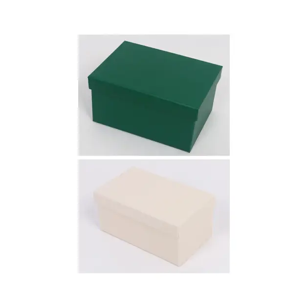 Solid Colour Gift Box Set of 10, 2 Colours Green & Ivory